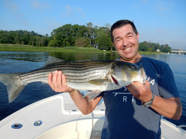 Merrimack River striper caught by Chuck Coppa